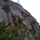 IMG_20220527_100316