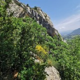 IMG_20220527_140157