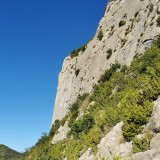 IMG_20220529_072331