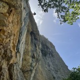 IMG_3362