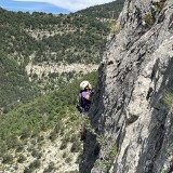 IMG_3451