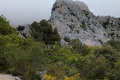 2026-05-15_08-51-13_compressed