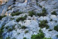 2026-05-16_08-37-04_compressed
