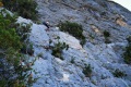 2026-05-16_08-56-09_compressed