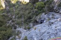 2026-05-16_09-20-56_compressed