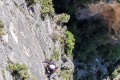 2026-05-16_11-19-01_compressed