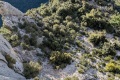 2026-05-17_08-34-17_compressed