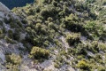 2026-05-17_08-53-55_compressed
