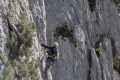 2026-05-17_09-45-18_compressed