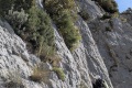 2026-05-17_09-47-08_compressed