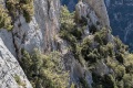 2026-05-17_09-57-28_compressed