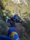 image_1239278392