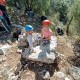 IMG-20230418-WA0007