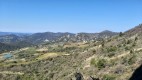 IMG-20230421-WA0098