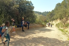 IMG_20250407_150042_334