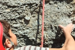 IMG_20250408_115105_769