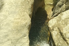 IMG_20250408_121905_994