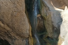 IMG_20250408_123359_819