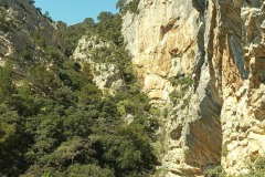 IMG_20250408_124243_171