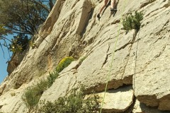 IMG_20250408_125608_017