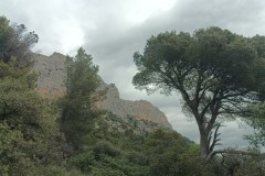 IMG_20250409_102113_833