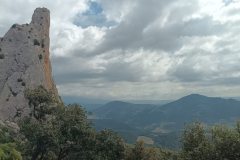 IMG_20250409_114647_276