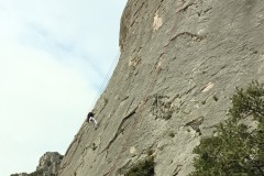 IMG_20250409_115531_007