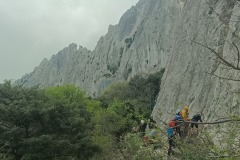IMG_20250410_110816_717