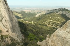 IMG_20250410_123523_287