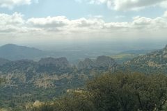 IMG_20250410_123746_163