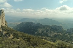 IMG_20250410_130012_596