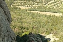 IMG_20250410_135917_735