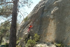IMG_20250411_141653_793