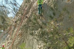 IMG_20250411_142647_766