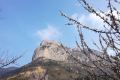 IMG_20190412_092943