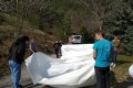 IMG_20190412_104230