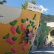 IMG_20250722_125309
