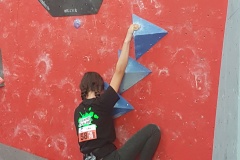 20170701_133419_resized