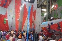 IMG-20170701-WA0003_resized