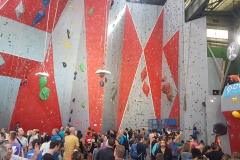 IMG-20170701-WA0005_resized