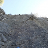 DSC06301