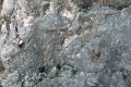 DCIM100MEDIADJI_0212.JPG