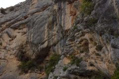 IMG_20170526_082107