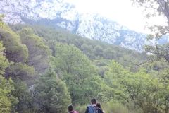 IMG_20170528_073547