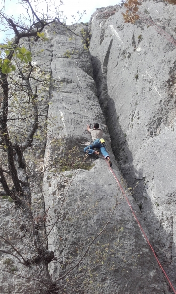 Verdon (58)